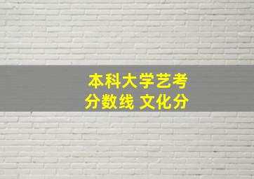 本科大学艺考分数线 文化分